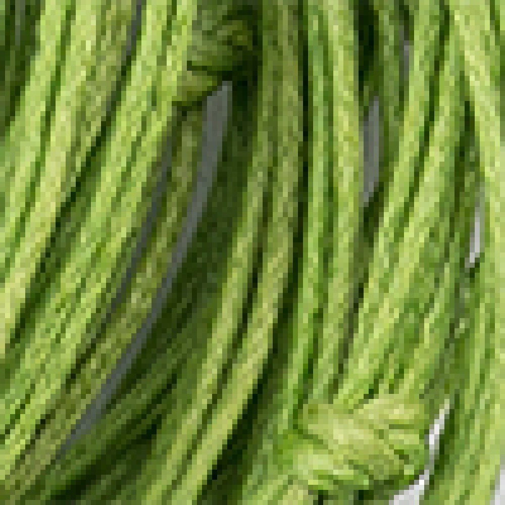 Picture for: Bracelet Simple Horshoe  Green